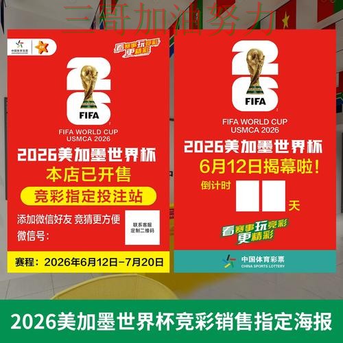 世界杯投注怎么选指南:实测对比全流程解析(2026世界杯) 世界杯投注怎么选指南:实测对比全流程解析(2026世界杯)